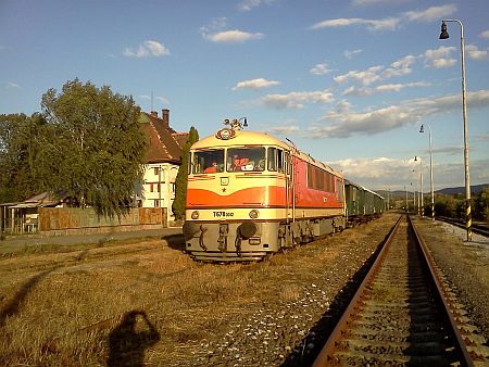 Jden s mimoriadnych vlakov zastavil v stanici Ssa-Plieovce. Do ela vlaku sa postavila "cnula osmika - dvanstka"